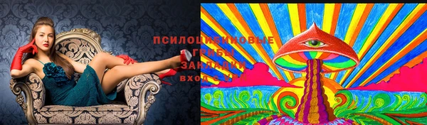 прущий лед Иннополис