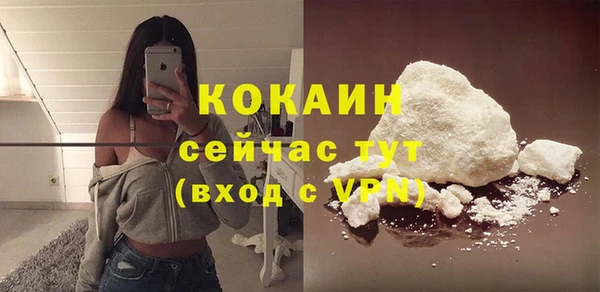 mdpv Инта