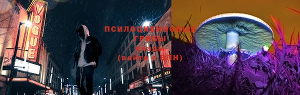 метадон Инсар