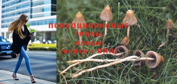 метадон Инсар
